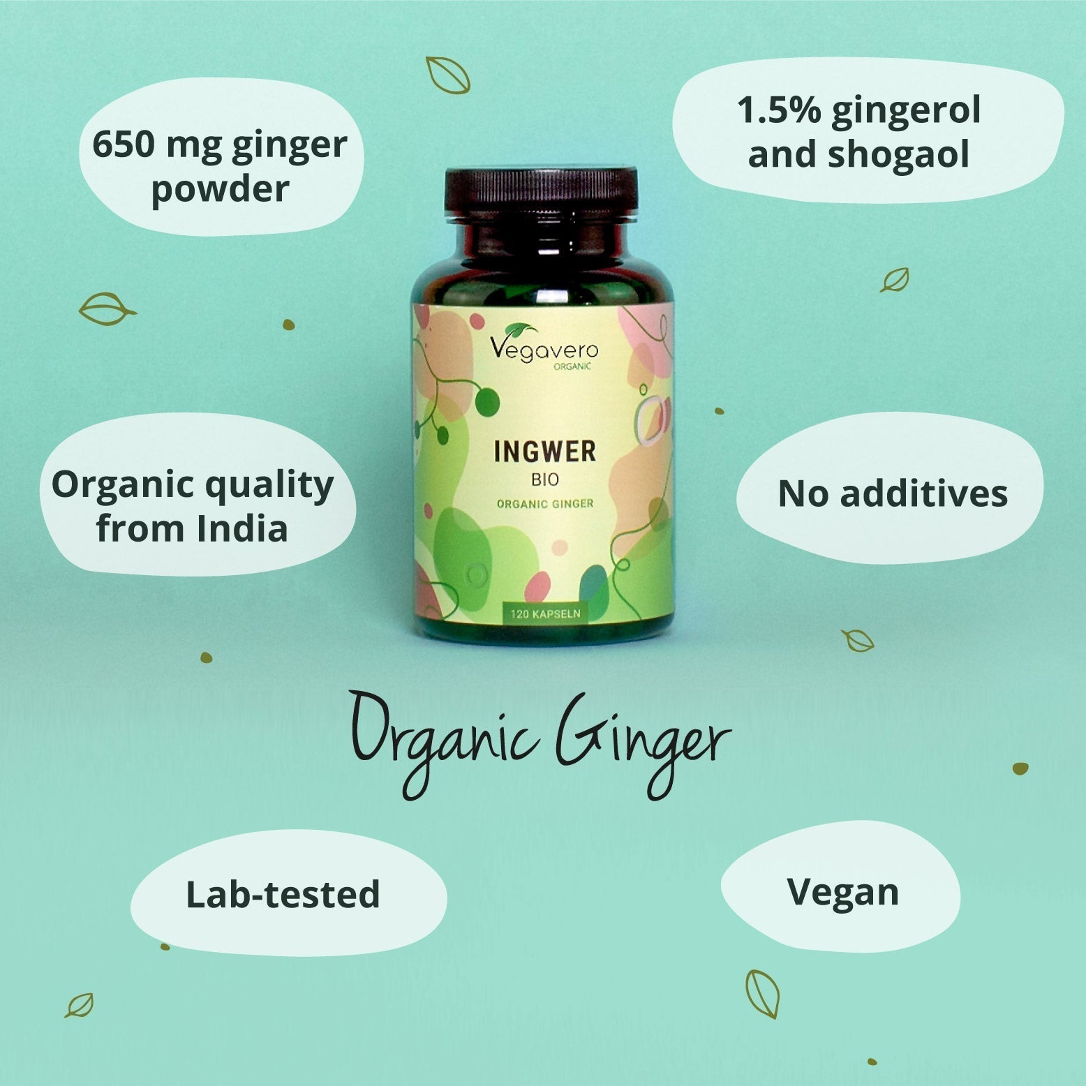 Ingwer Kapseln Bio