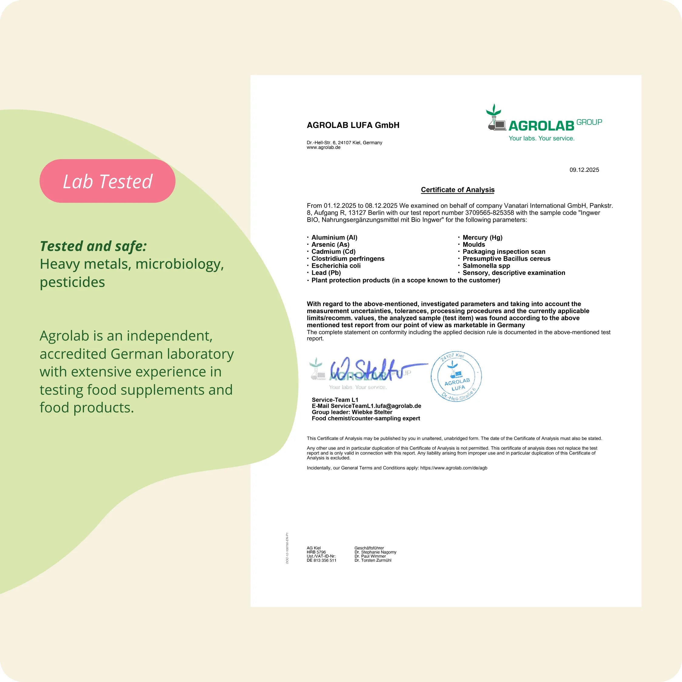 Ingwer Kapseln Bio