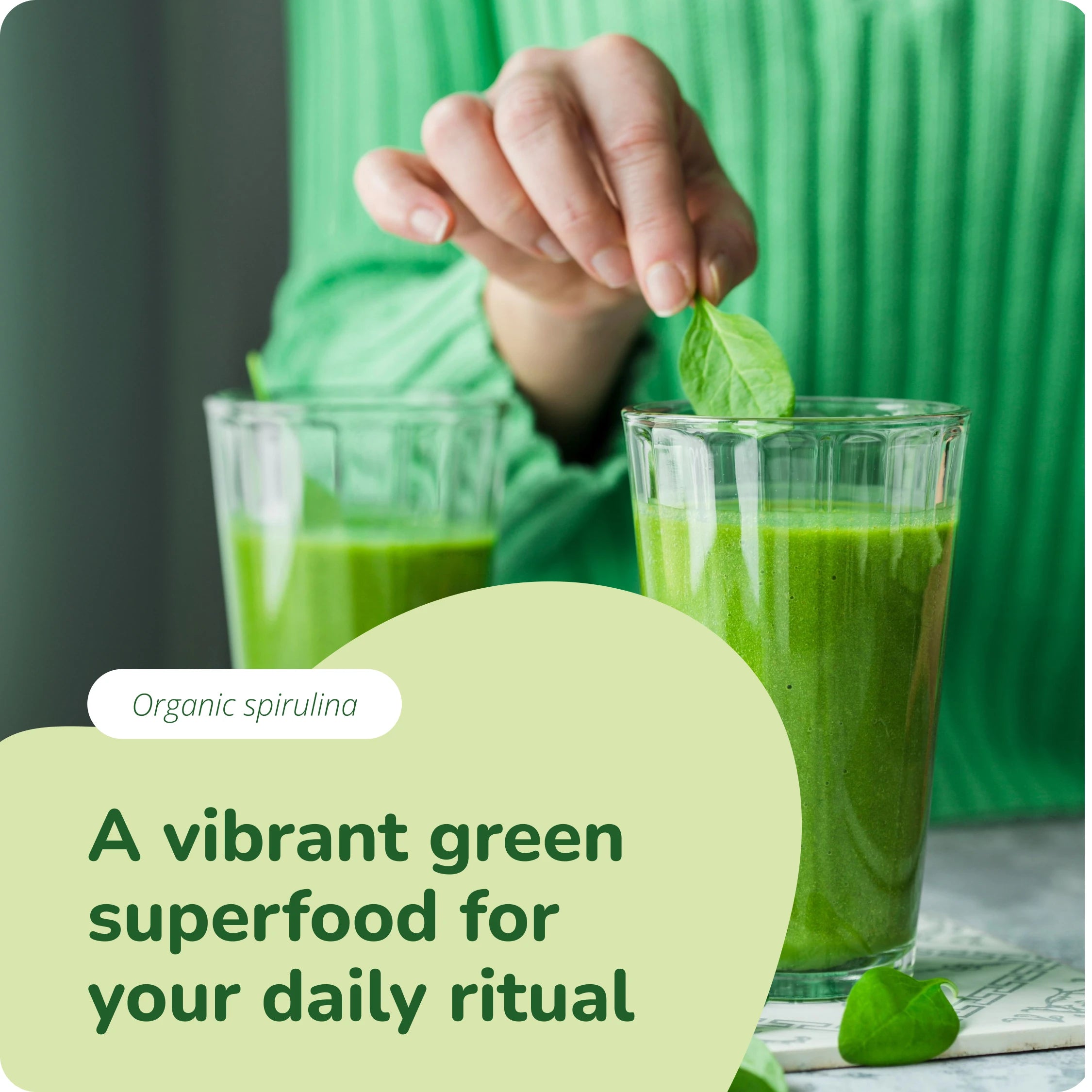 Spirulina Tabletten Bio