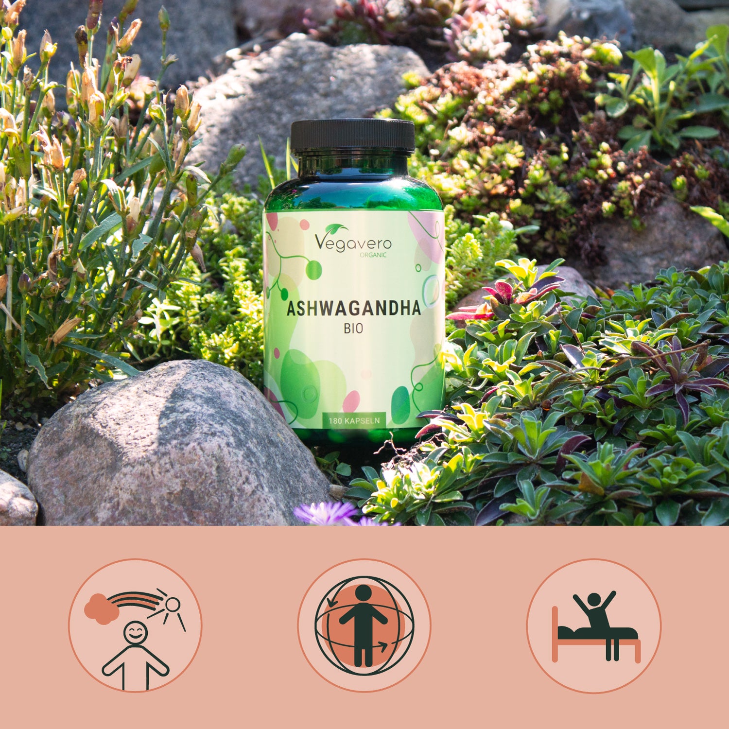 Ashwagandha Kapseln Bio