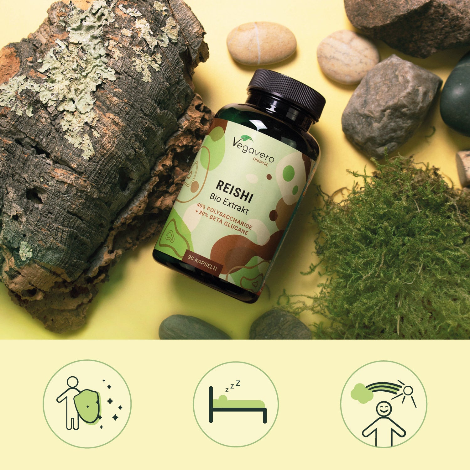 Reishi Extrakt Kapseln Bio