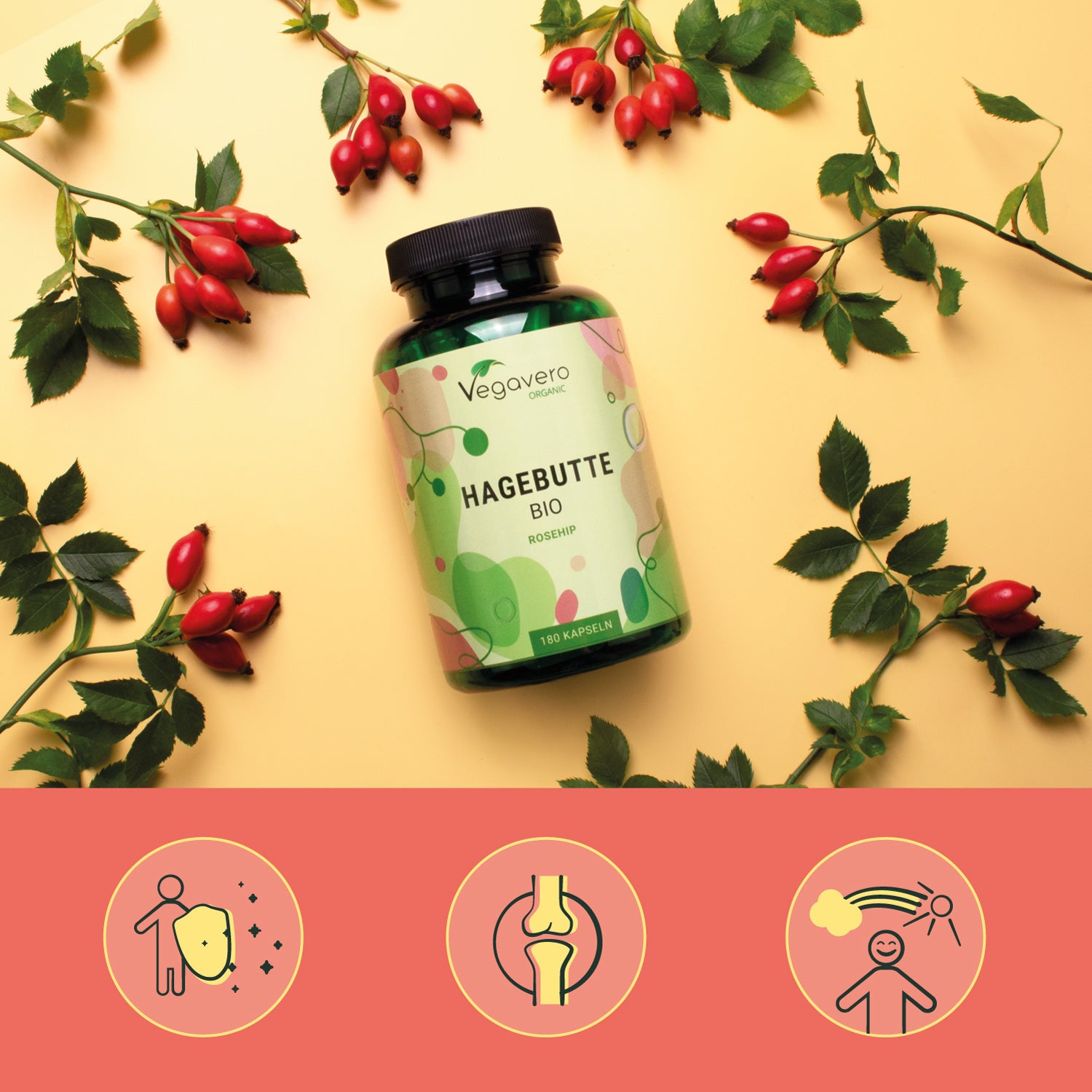 Hagebutte Kapseln Bio