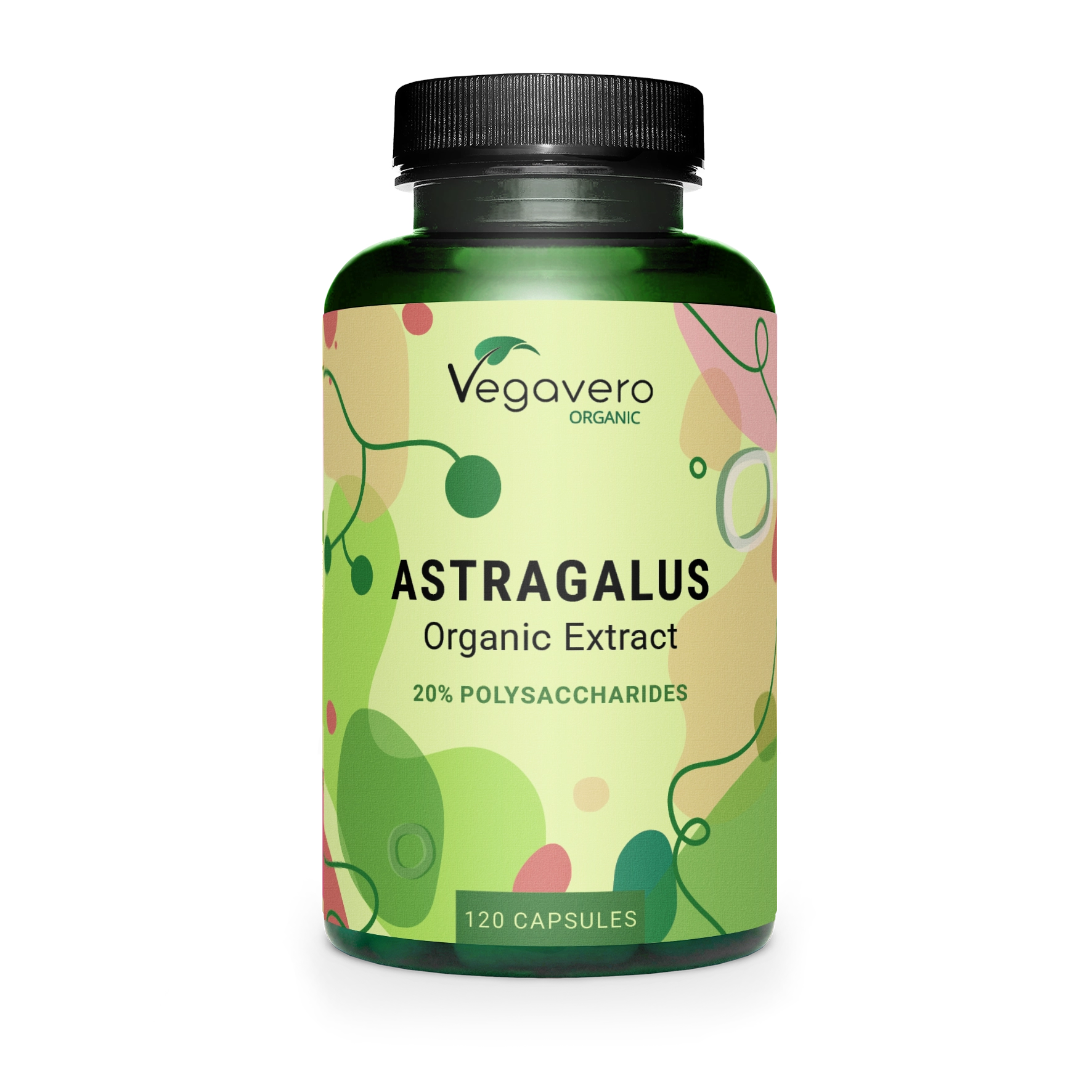 Astragalus Extrakt Kapseln Bio