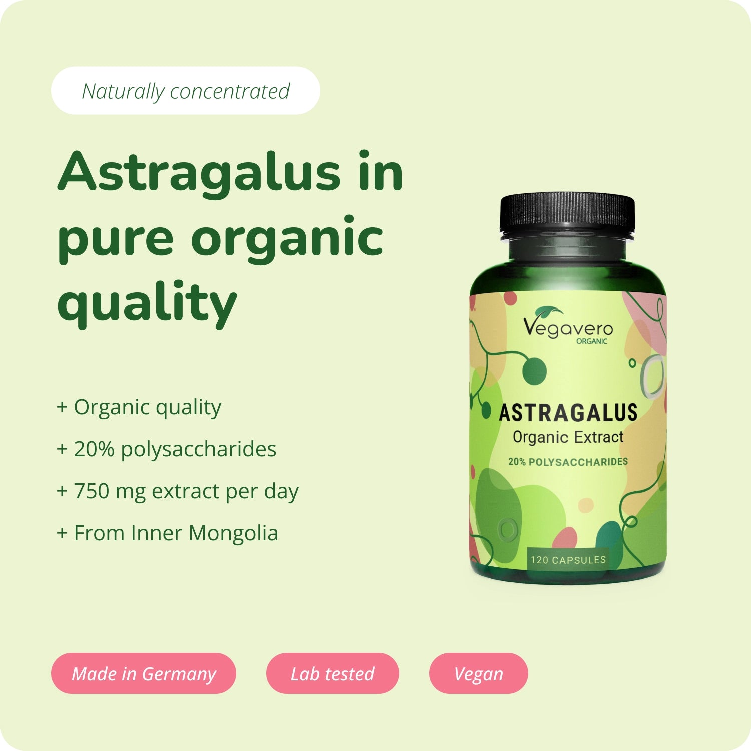 Astragalus Extrakt Kapseln Bio