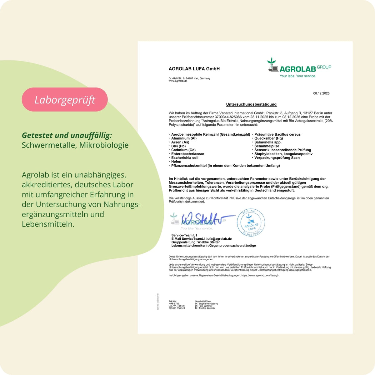 Astragalus Extrakt Kapseln Bio