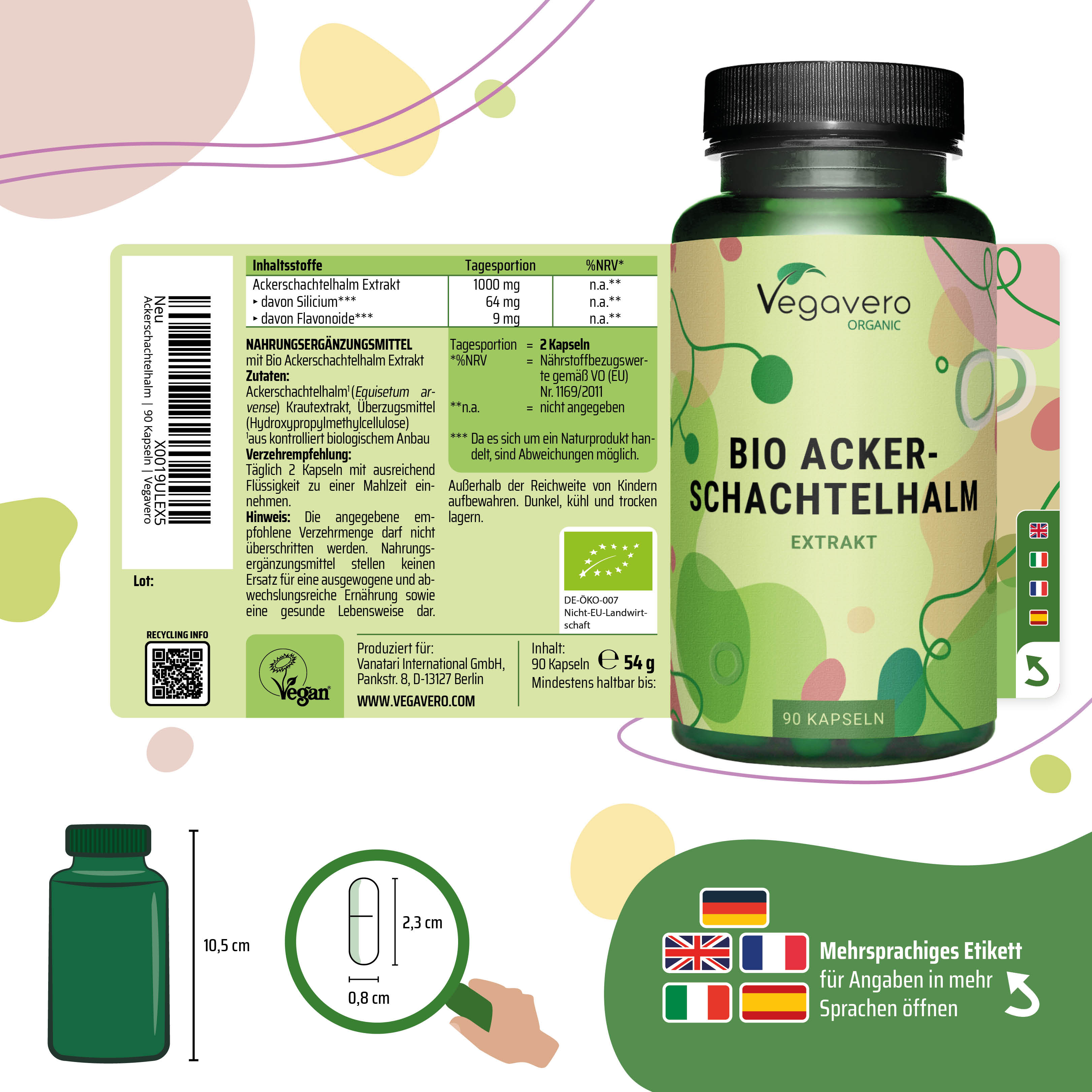 Schachtelhalm Extrakt Kapseln Bio
