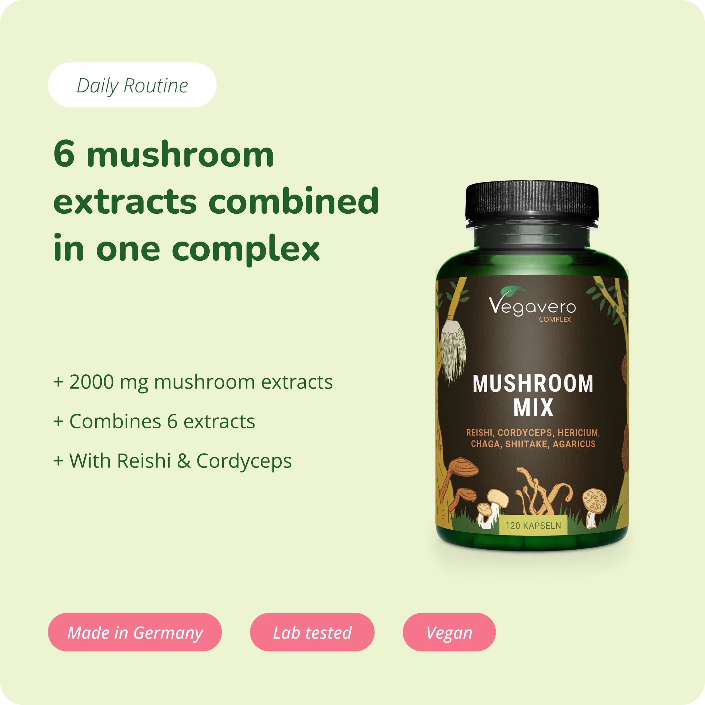 Mushroom Mix Complex Kapseln