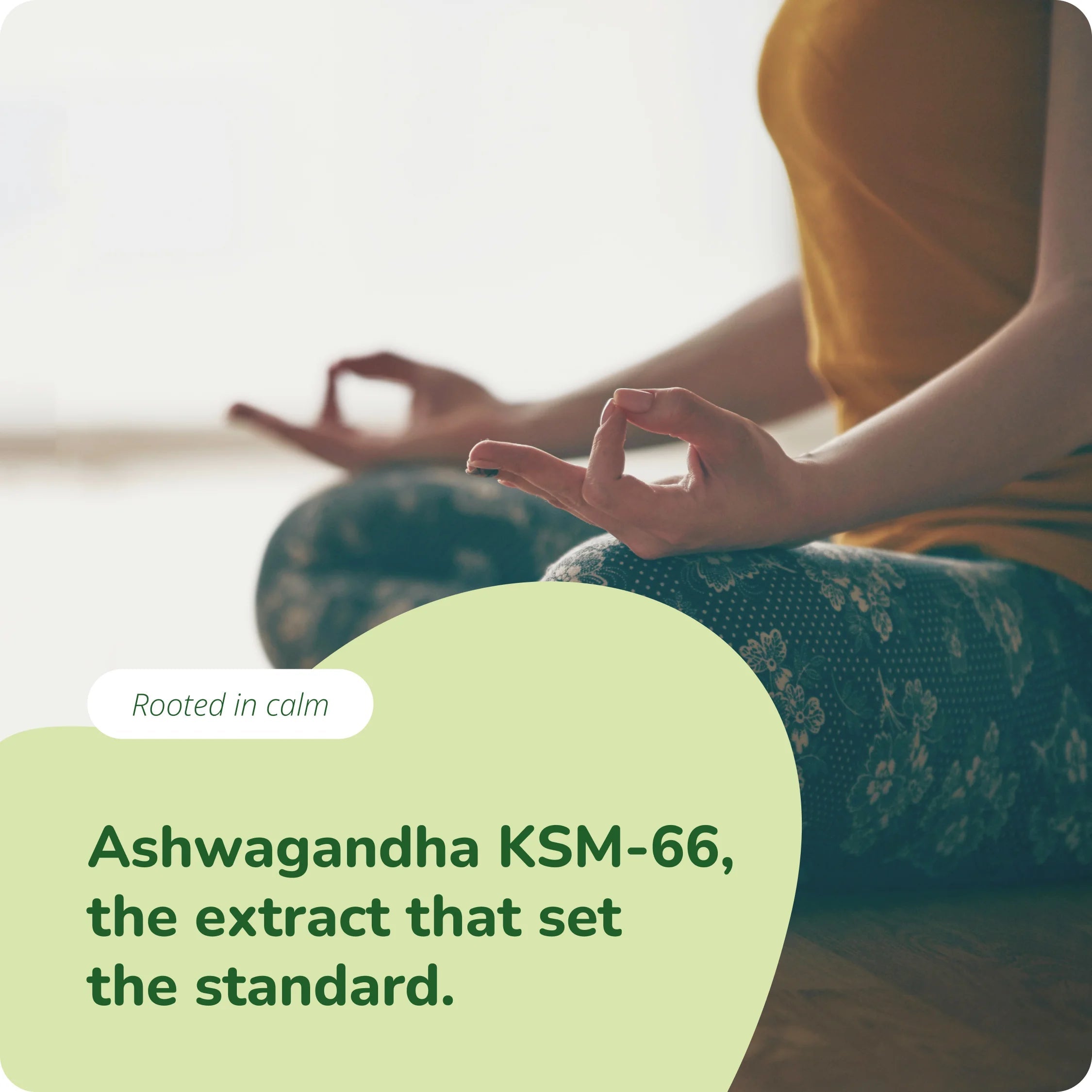Ashwagandha KSM-66 Extrakt Kapseln Bio