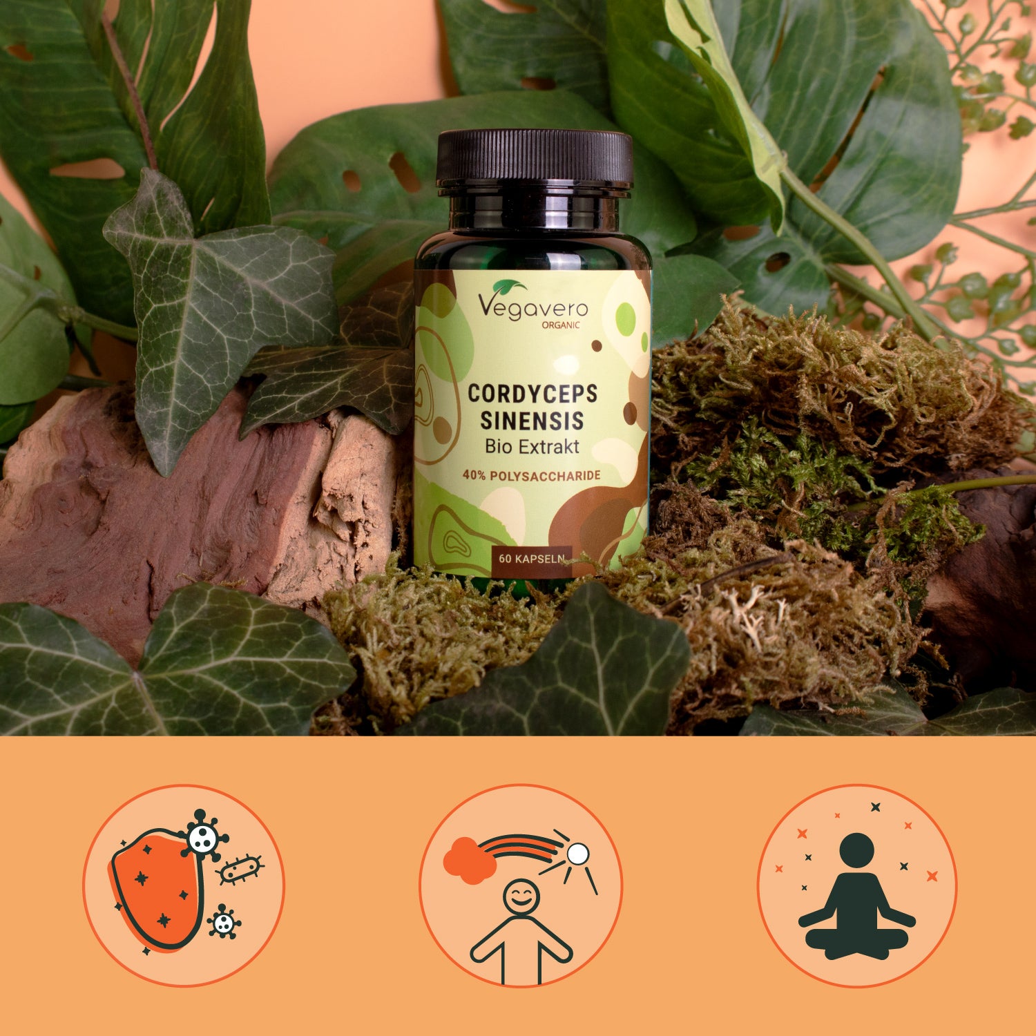 Cordyceps Sinensis Extrakt Kapseln Bio