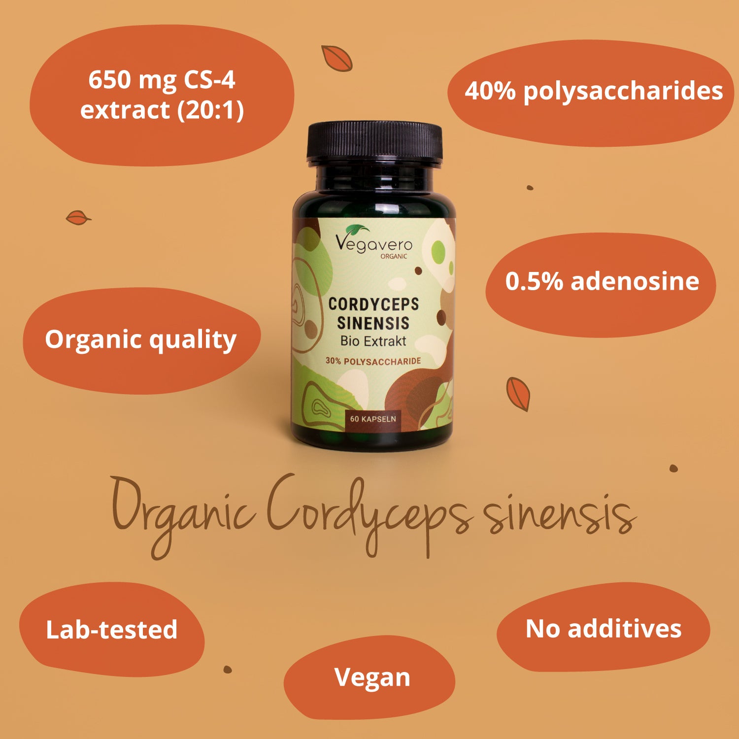 Cordyceps Sinensis Extrakt Kapseln Bio