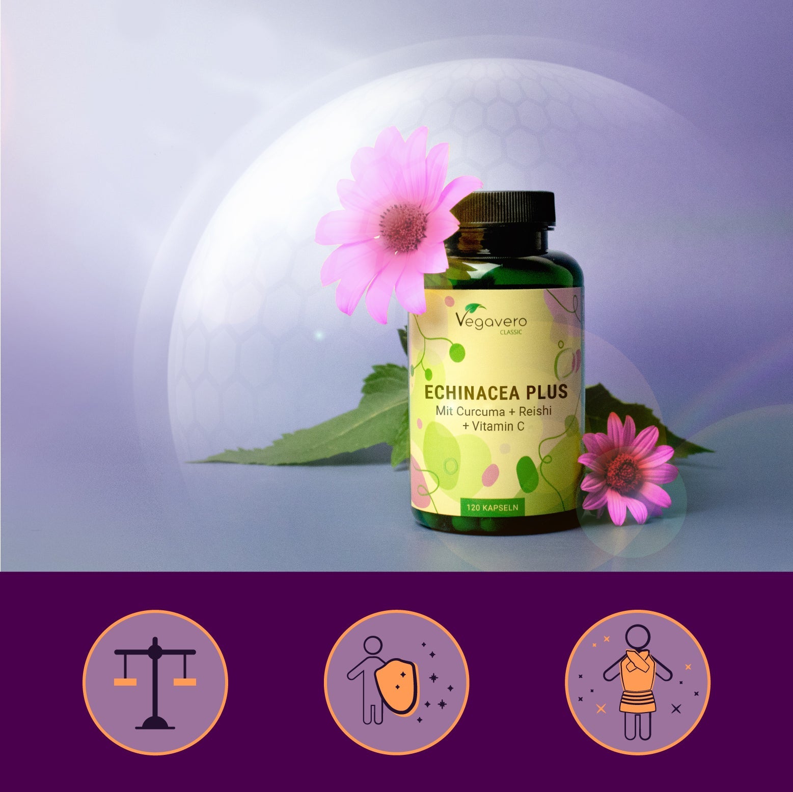 Echinacea Plus Kapseln
