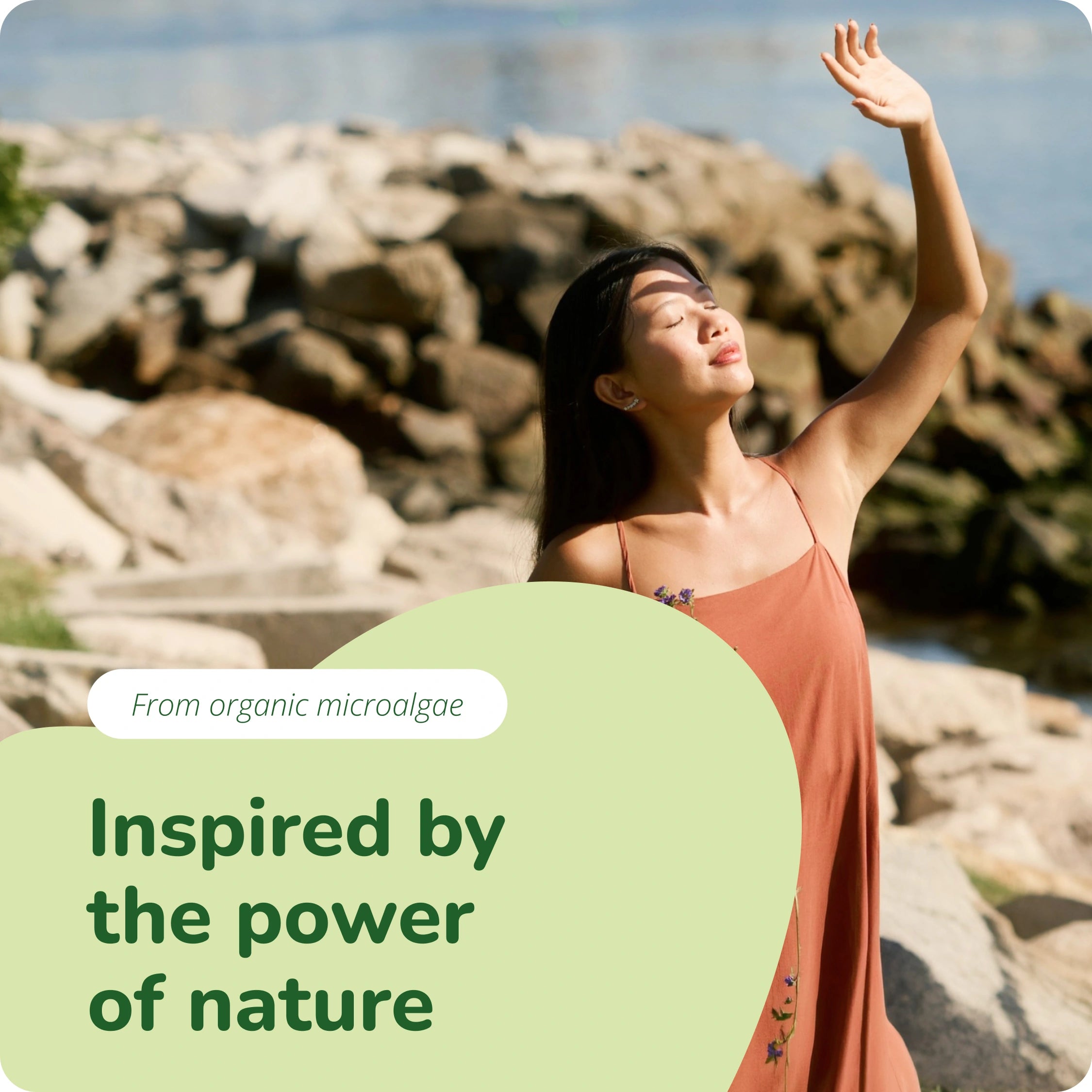 Astaxanthin Oil Capsules Organic