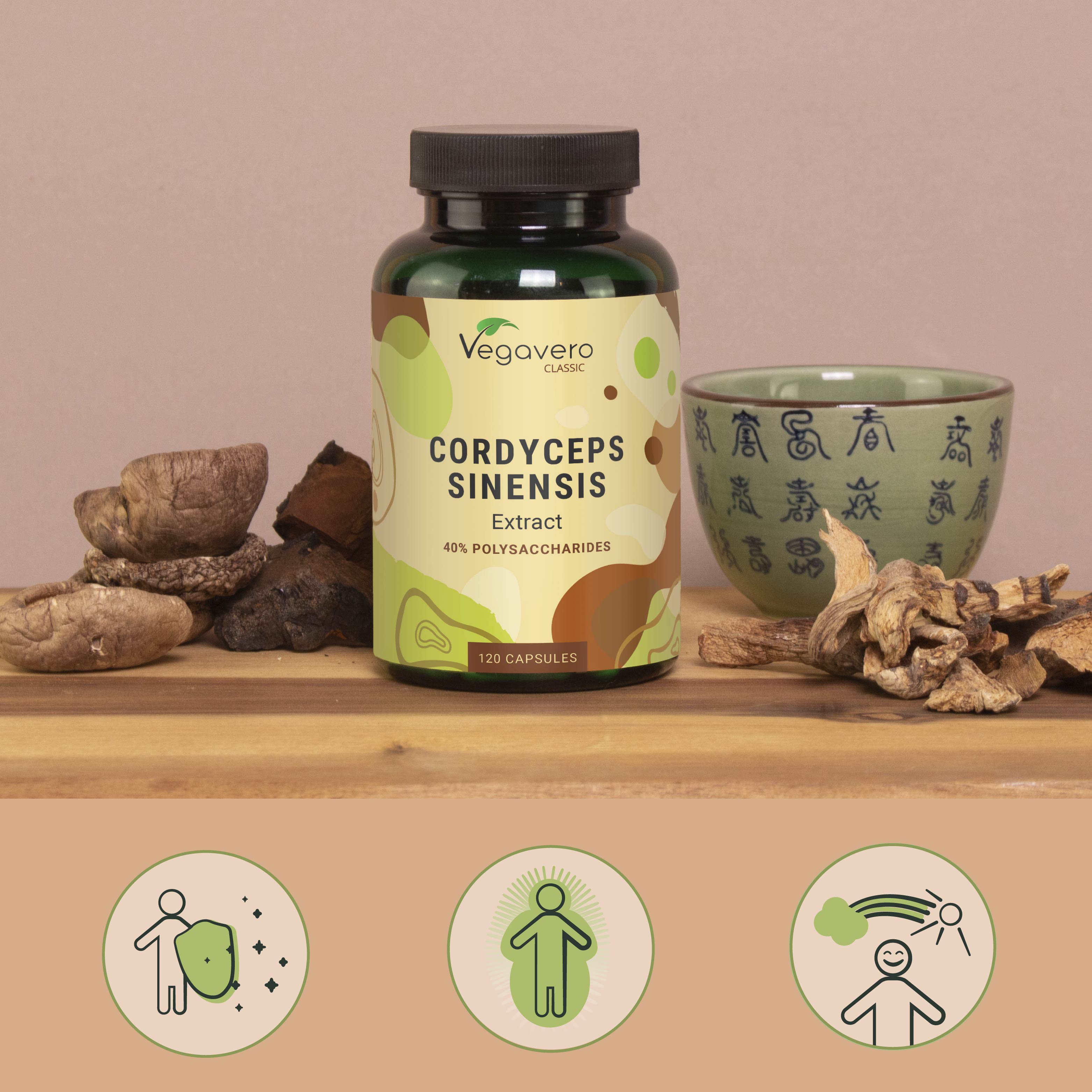 Cordyceps Sinensis Extrakt Kapseln