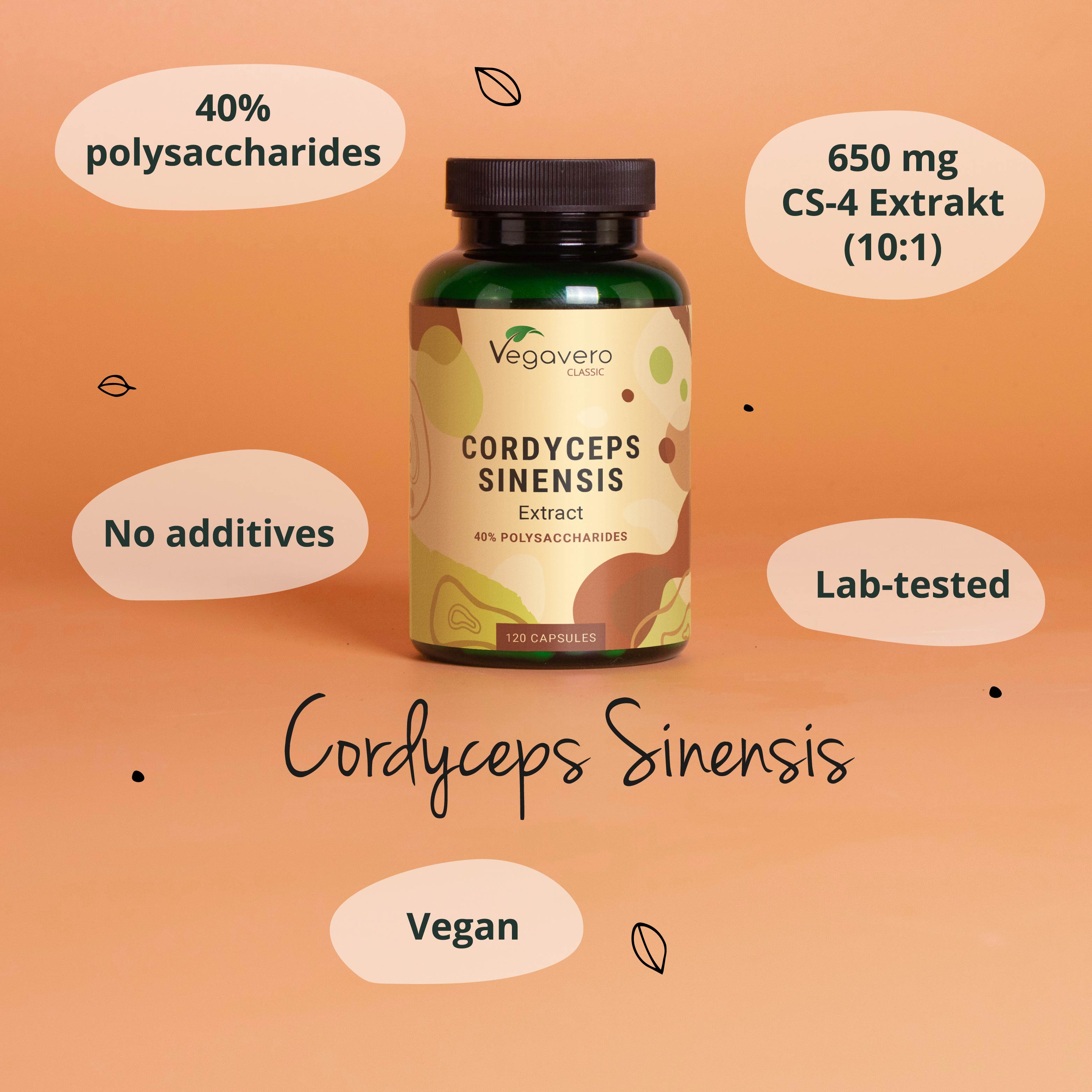 Cordyceps Sinensis Extrakt Kapseln