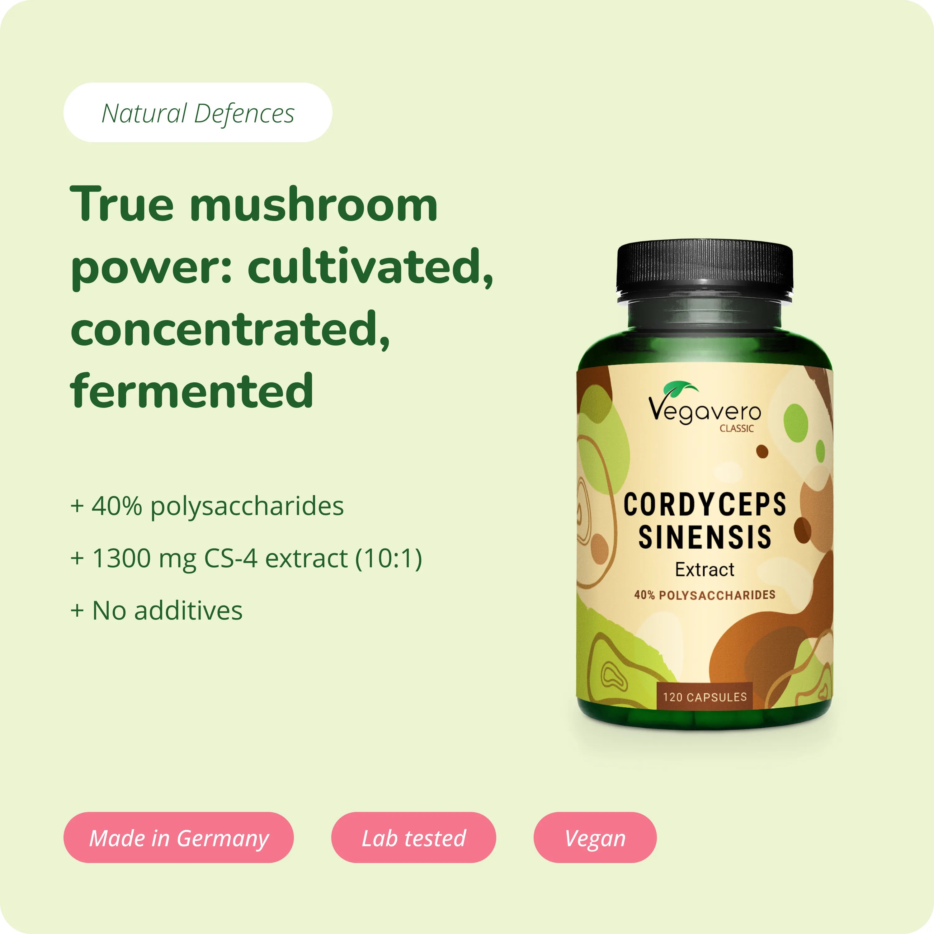 Cordyceps Sinensis Extract Capsules