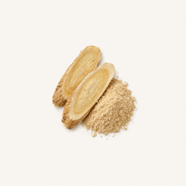 Astragalus‑Wurzel‑Extrakt (20 % Polysaccharide) BIO