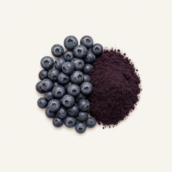 Heidelbeerfruchtextrakt 5 % BIO (FENO-MYRTILLUS® Bio)