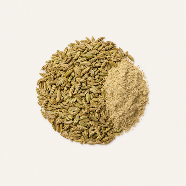 Fenchel (Foeniculum vulgare) Fruchtextrakt