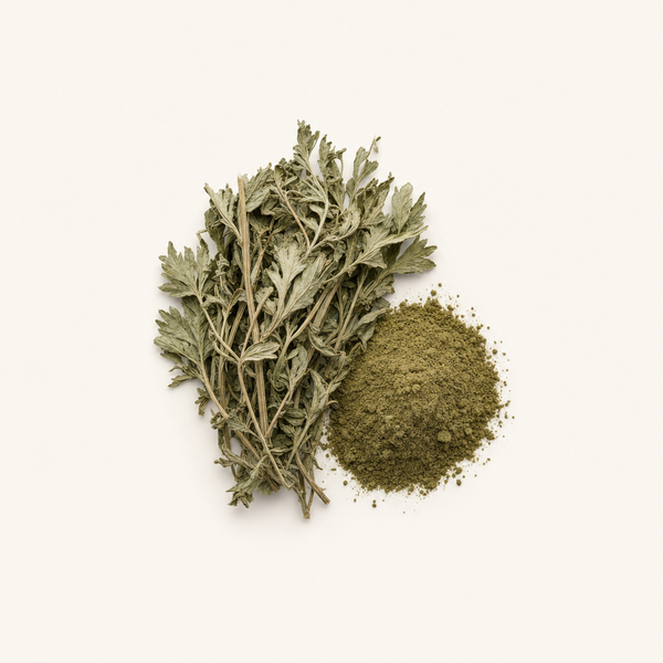 Beifuß (Artemisia vulgaris) Kräuterextrakt 2 % Flavonoide (UV)