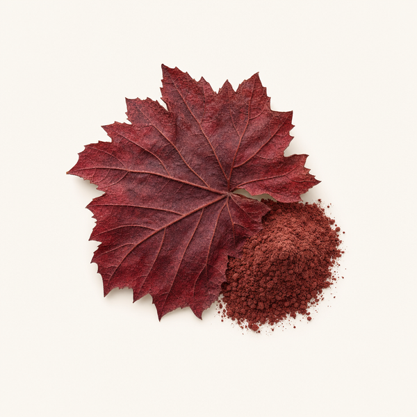 Roter Weinblatt-Extrakt 3-5% BIO