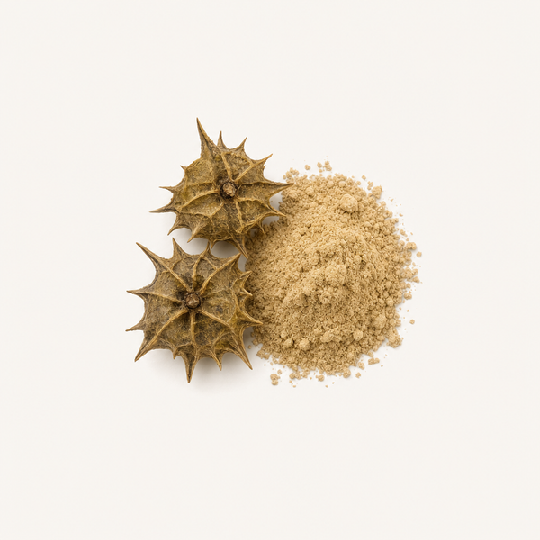 Tribulus-Fruchtextrakt 90%