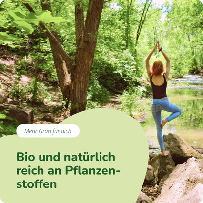 Moringa Oleifera Kapseln Bio