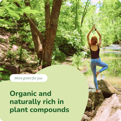 Moringa Oleifera Kapseln Bio