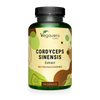 Cordyceps Sinensis Extract Capsules