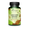 Cordyceps Sinensis Extrakt Kapseln Bio