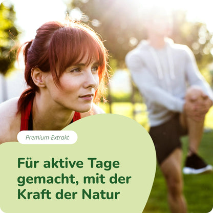 Tribulus Terrestris Extrakt Kapseln