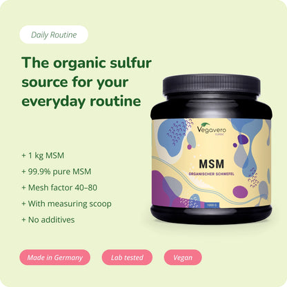 MSM Powder