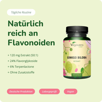 Ginkgo Biloba Extrakt Kapseln