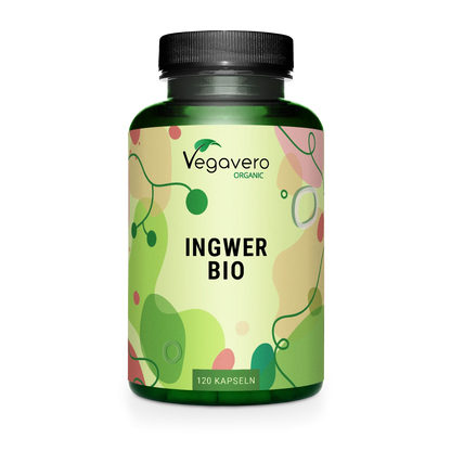 Ingwer Kapseln Bio