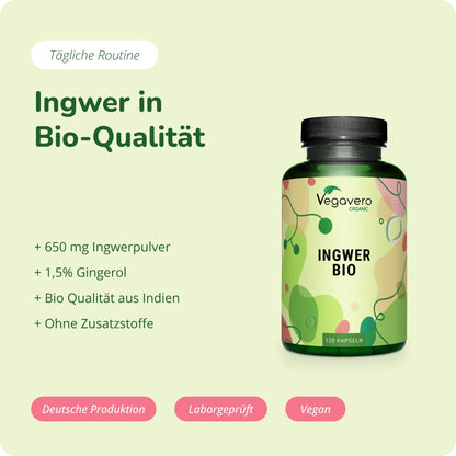Ingwer Kapseln Bio