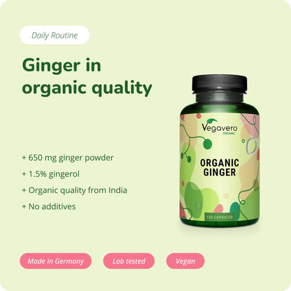 Ingwer Kapseln Bio