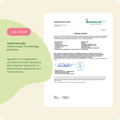 Ingwer Kapseln Bio