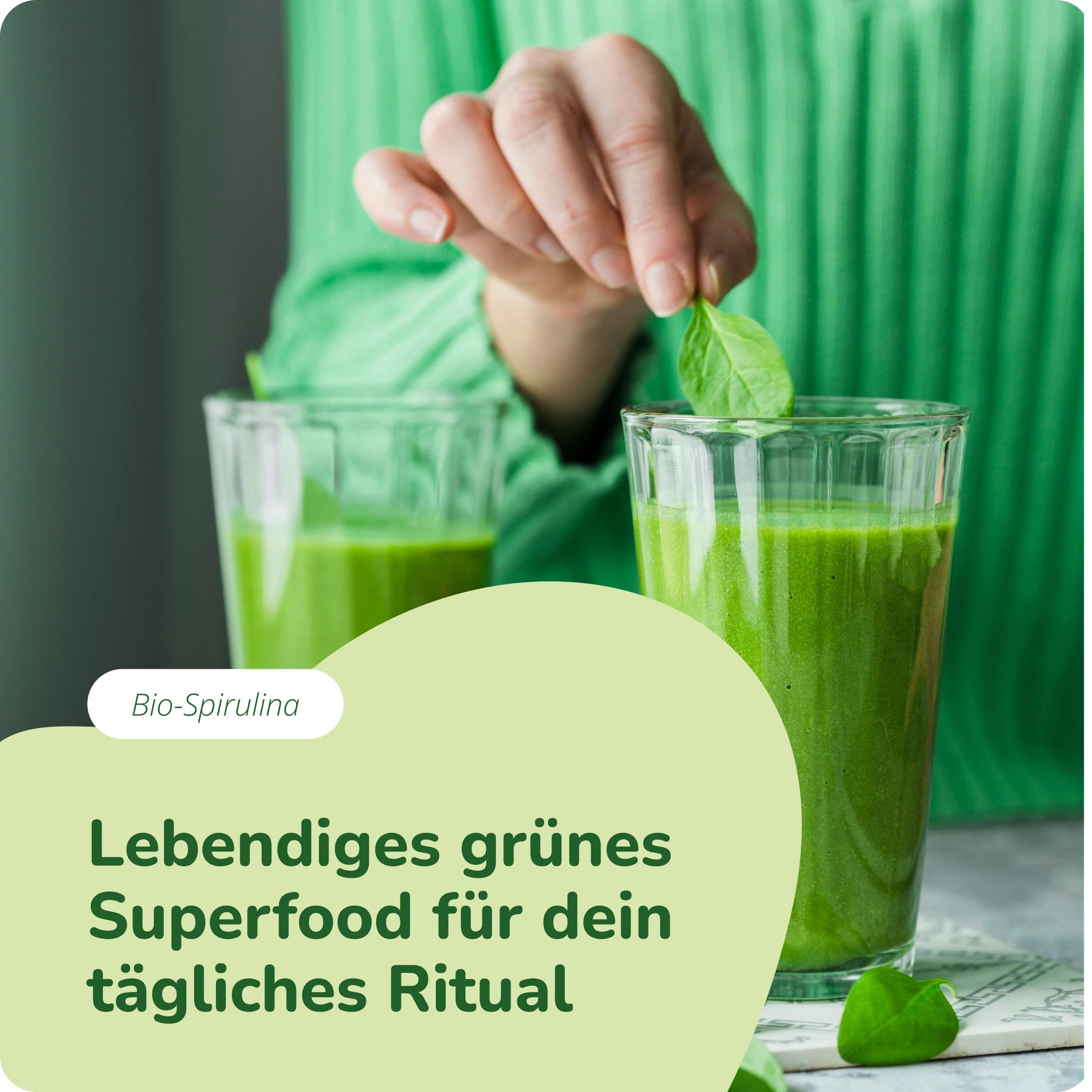 Spirulina Tabletten Bio