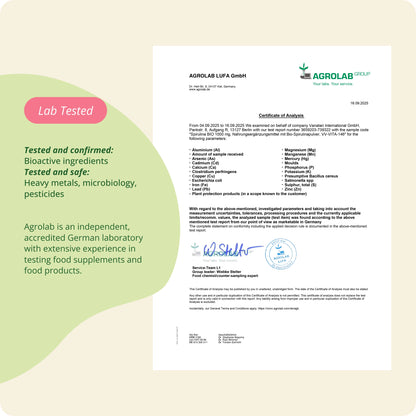 Spirulina Tabletten Bio