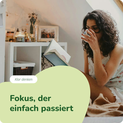 Löwenmähne Kapseln Bio
