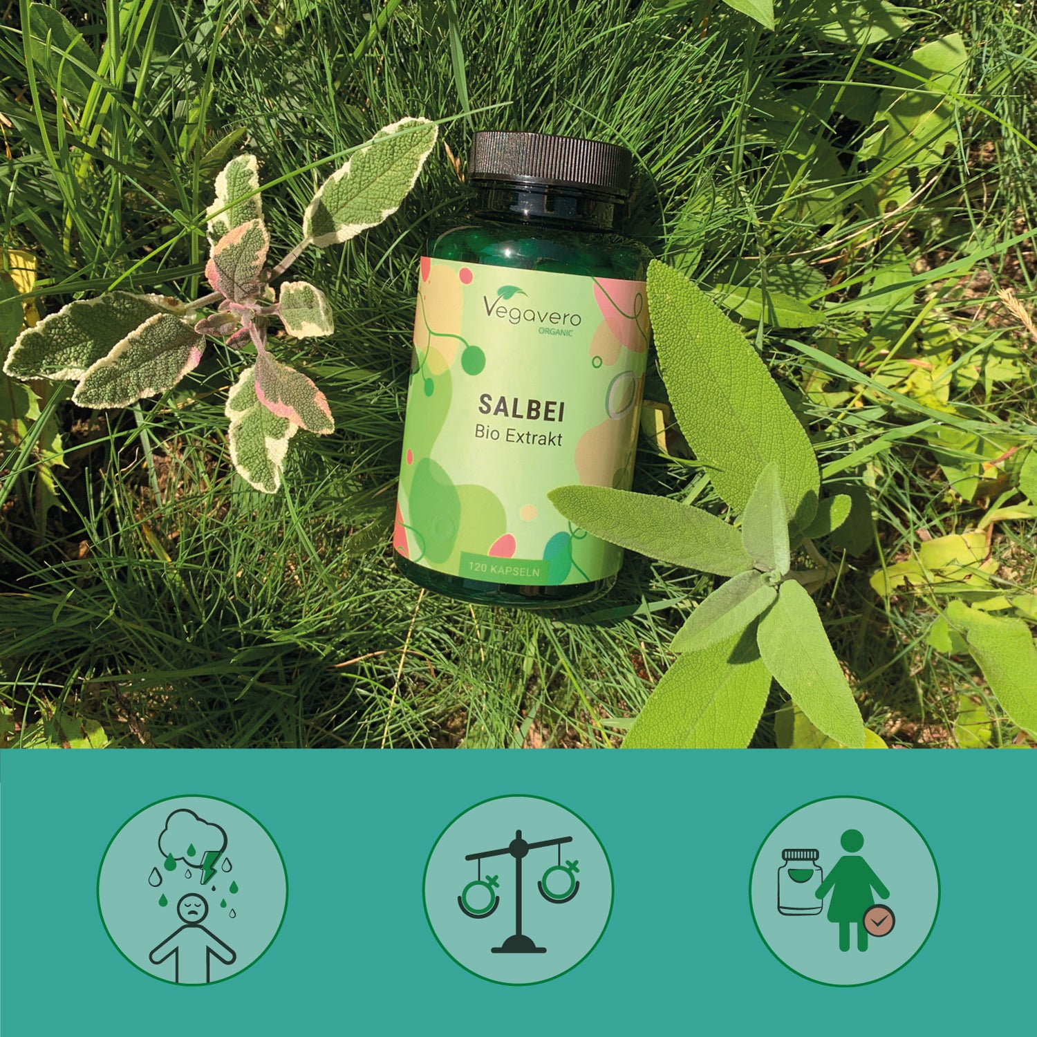Salbei Extrakt Kapseln Bio