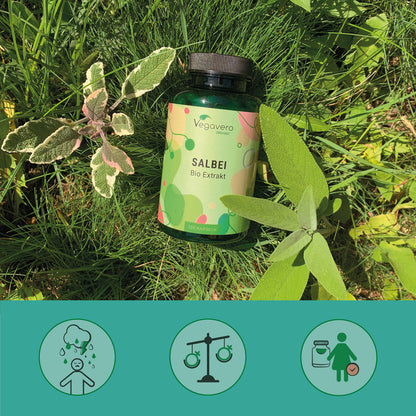 Salbei Extrakt Kapseln Bio