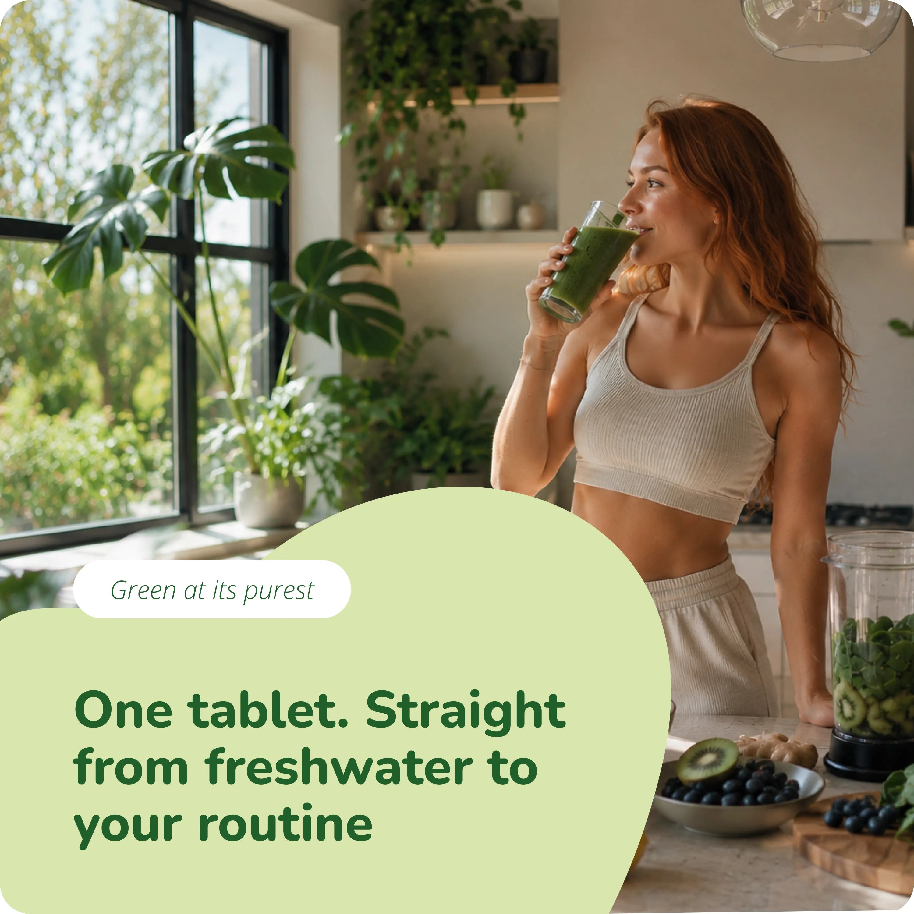 Chlorella Kapseln Bio