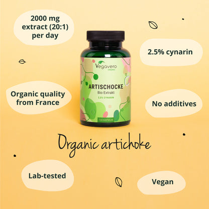 Artischocken Extrakt Kapseln Bio