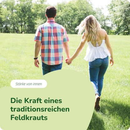 Schachtelhalm Extrakt Kapseln Bio