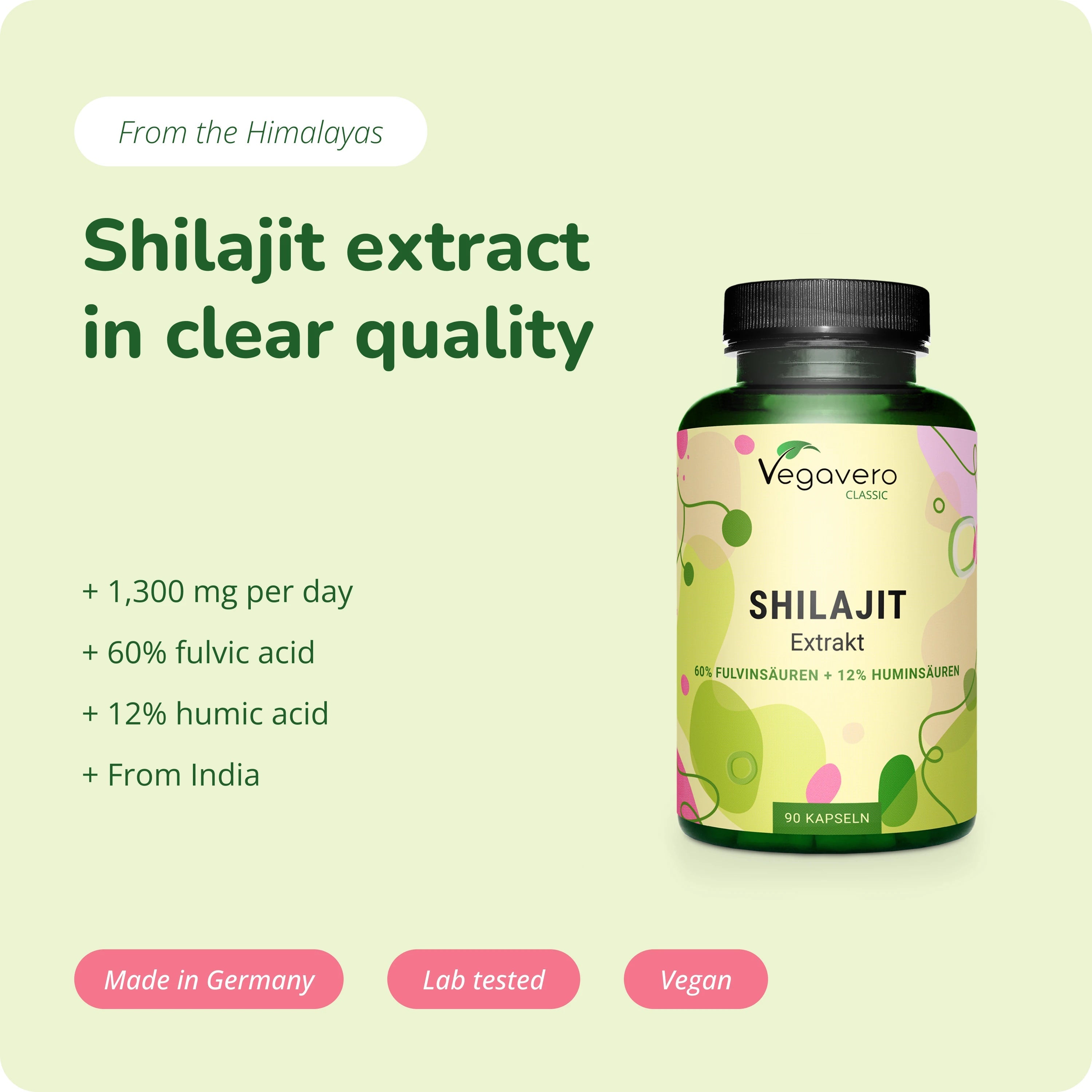 Shilajit Extract Capsules