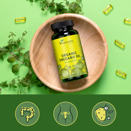 Oregano Öl Kapseln Bio