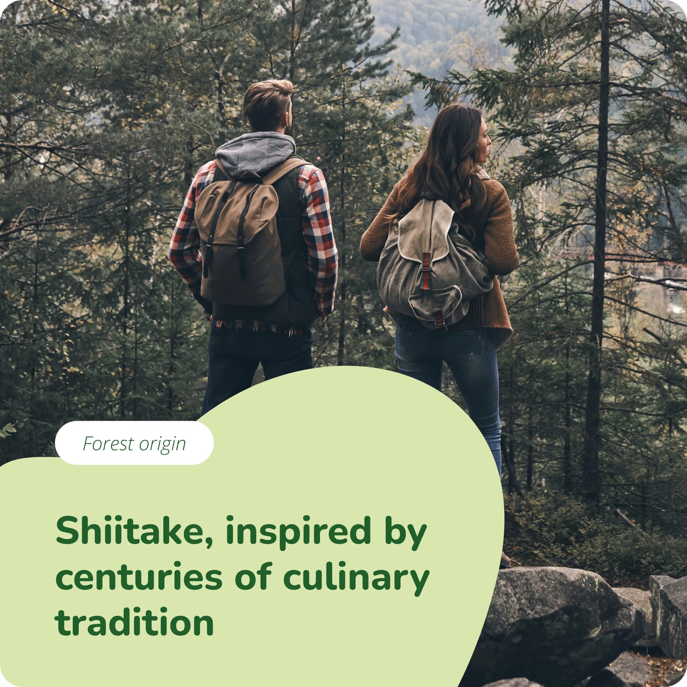 Shiitake Extract Capsules