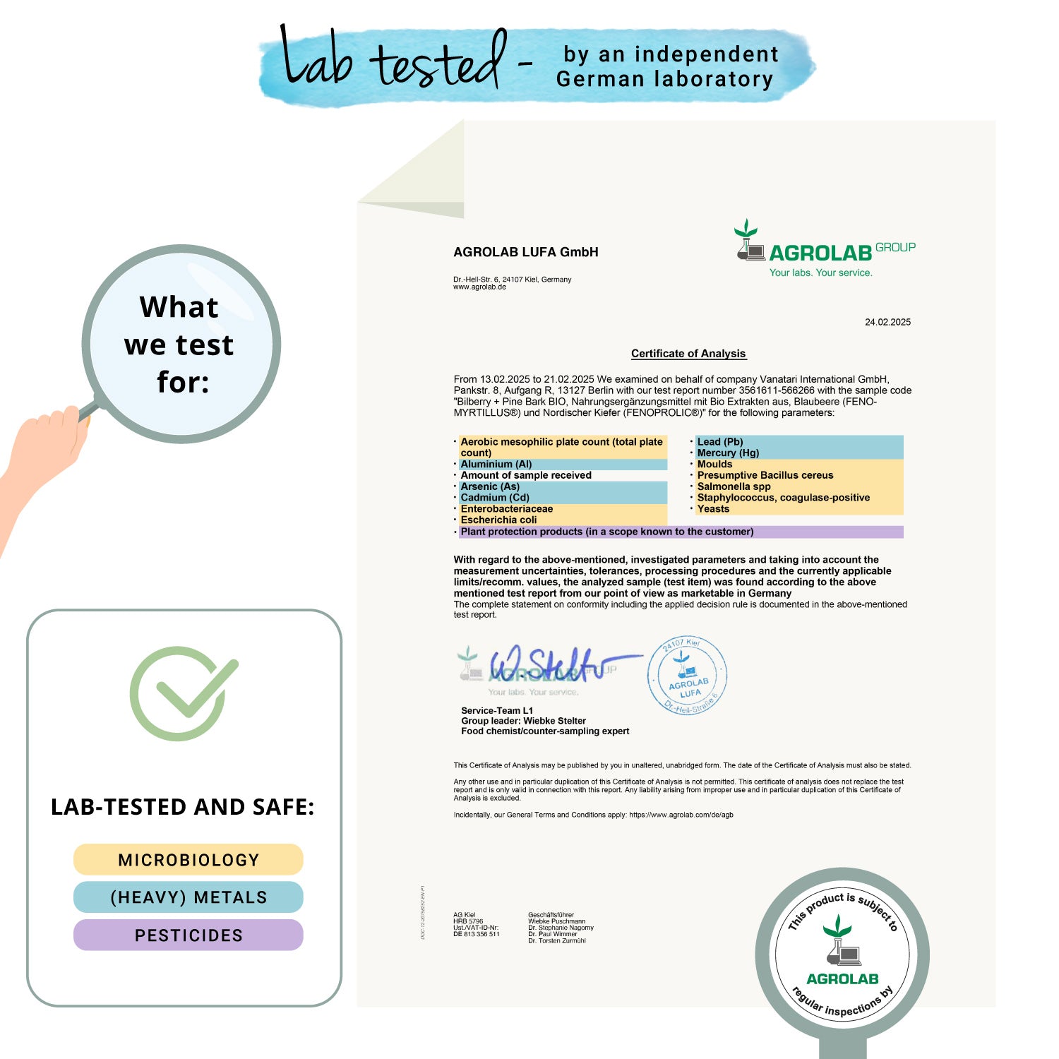 Heidelbeer + Kiefernrinden Extrakte Kapseln Bio