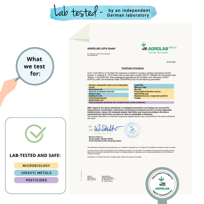 Heidelbeer + Kiefernrinden Extrakte Kapseln Bio