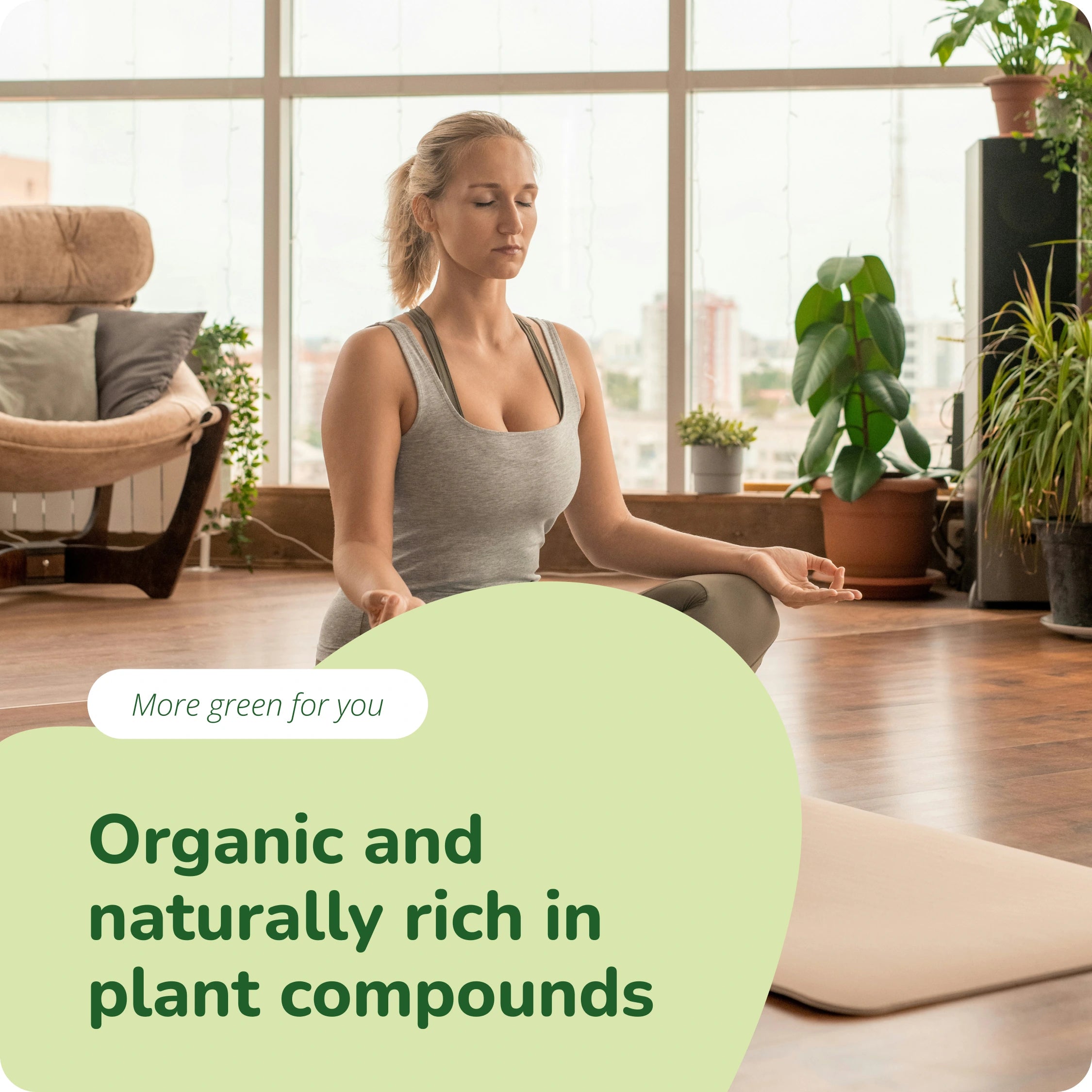 Moringa Oleifera Tabletten Bio
